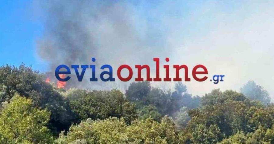 Τεράστια φωτιά τώρα κατακαίει τη χώρα μας: 9 εναέρια δίνουν μάχη – Εστάλη 112