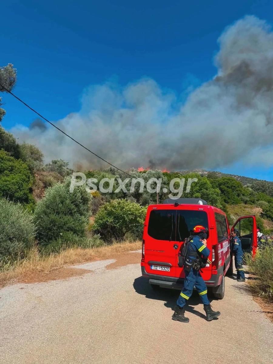 Τεράστια φωτιά τώρα κατακαίει τη χώρα μας: 9 εναέρια δίνουν μάχη – Εστάλη 112