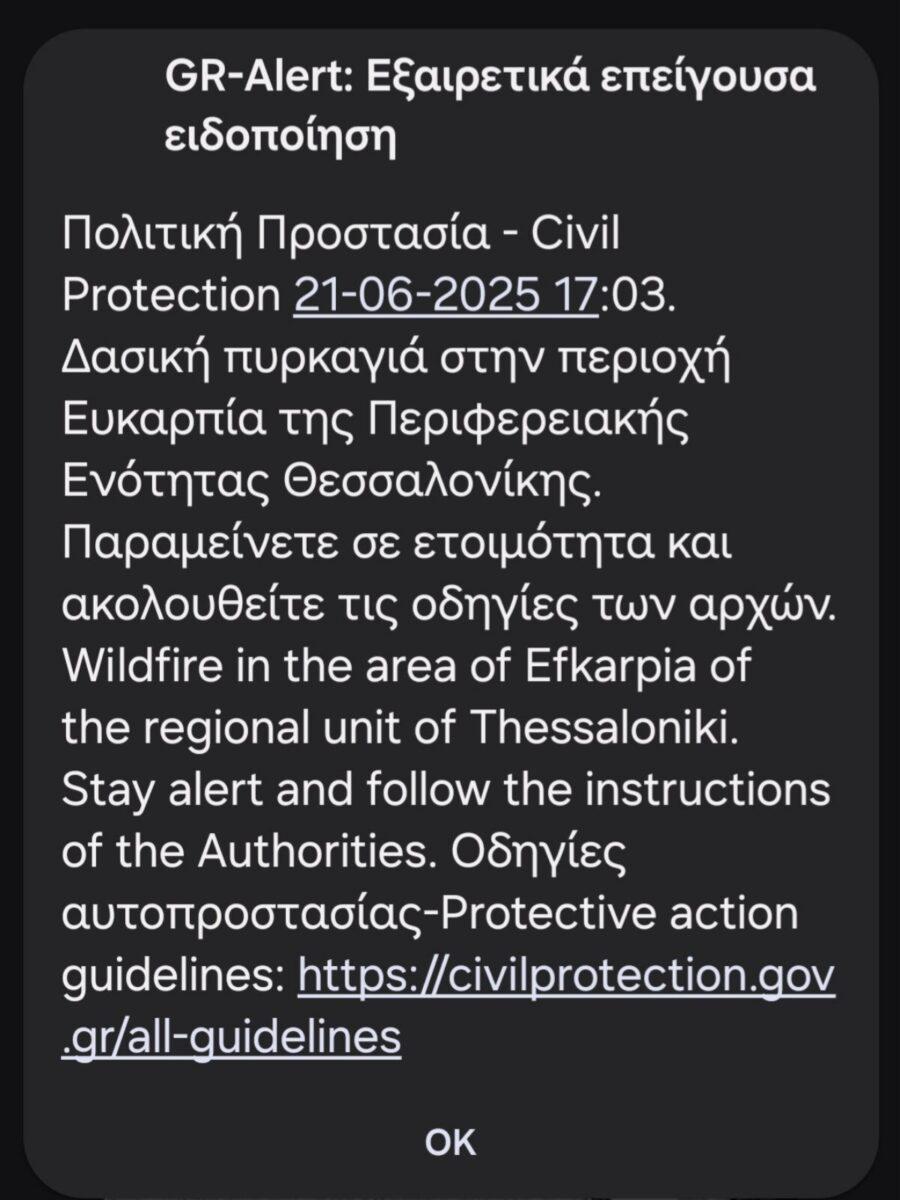 Μεγάλη φωτιά στη Θεσσαλονίκη: Καίει κοντά σε σπίτια – Ήχησε το 112 στα κινητά