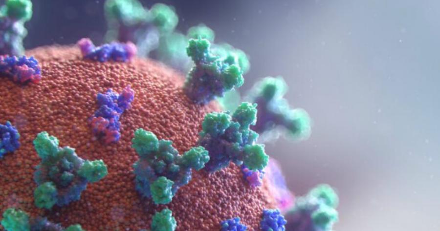 Έτσι την πατάνε όλοι: Πότε αρχίζει να μεταδίδει τη μετάλλαξη JN.1 κάποιος που βγαίνει θετικός