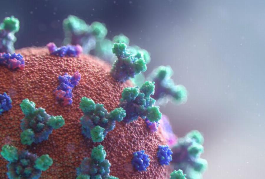 Έτσι την πατάνε όλοι: Πότε αρχίζει να μεταδίδει τη μετάλλαξη JN.1 κάποιος που βγαίνει θετικός