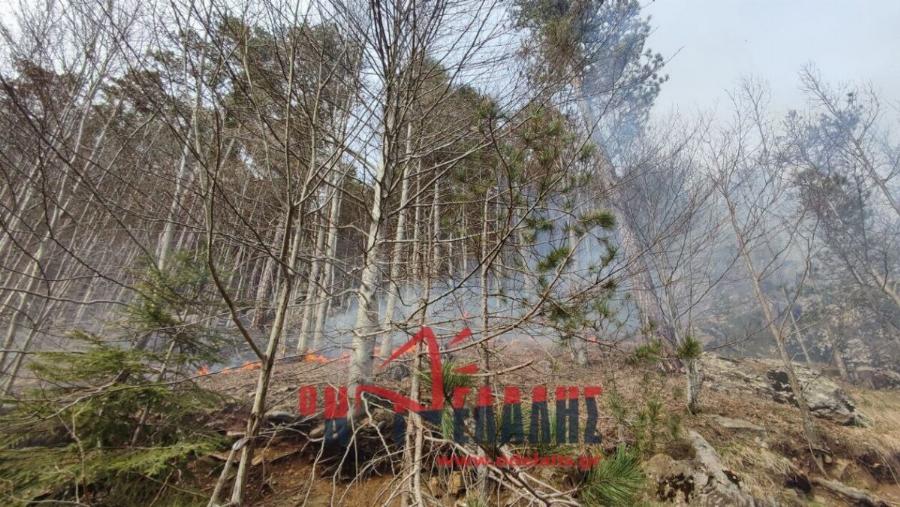 Μεγάλη φωτιά καίει τη χώρα μας