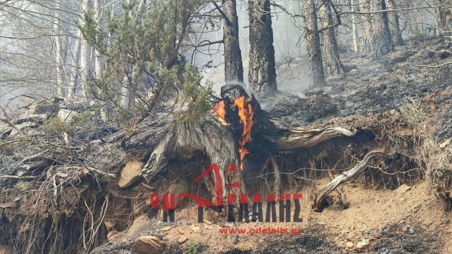 Μεγάλη φωτιά καίει τη χώρα μας