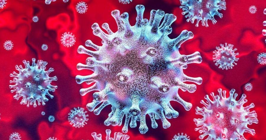 Παγκόσμιος συναγερμός: Φόβοι για νέα πανδημία – Εντοπίστηκε ο ιός Oropouche