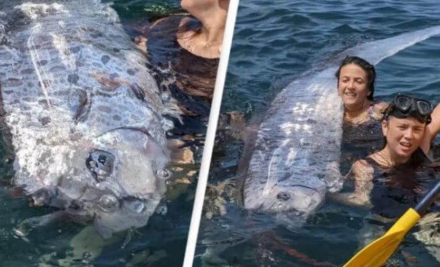 Φόβος για μεγάλο σεισμό: Εντοπίστηκε αυτό το ψάρι – Είναι γνωστό ως ο προάγγελος της «καταστροφής»