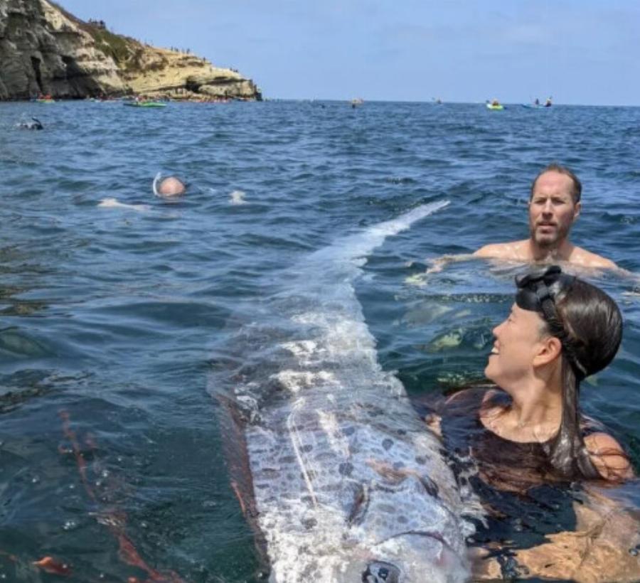 Φόβος για μεγάλο σεισμό: Εντοπίστηκε αυτό το ψάρι – Είναι γνωστό ως ο προάγγελος της «καταστροφής»