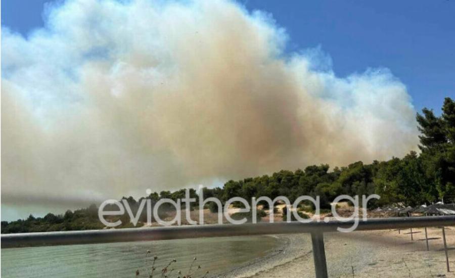Έκτακτο: Μεγάλη φωτιά τώρα στη Νέα Αρτάκη – Καίγονται σπίτια, εκκενώνονται περιοχές