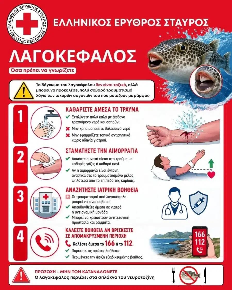 Χάρτης με τις παραλίες που έχει εμφανιστεί – Πώς θα δώσουμε τις πρώτες βοήθειες