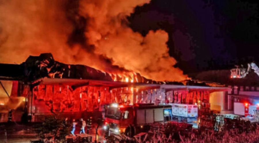 Έκτακτο: Από πρόθεση λέει η Πυροσβεστική η φωτιά στο εργοστάσιο με τα γεύματα που προκάλεσαν δηλητηρίαση στη Λαμία