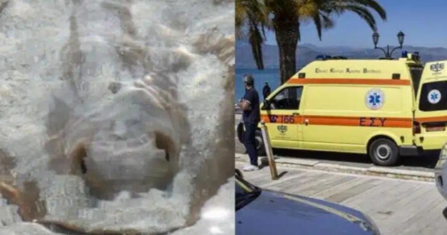 «Πάγωσαν» λουόμενοι στο Αγρίνιο: Έκανε βουτιά και ξαφνικά άρχισε να ουρλιάζει από πόνο, μόλις είδαν τι την τσίμπησε