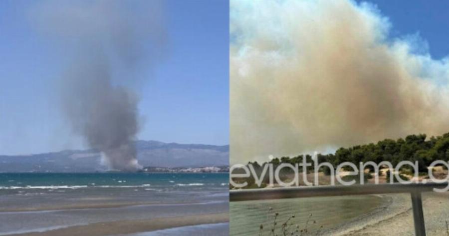 Έκτακτο: Μεγάλη φωτιά τώρα στη Νέα Αρτάκη – Καίγονται σπίτια, εκκενώνονται περιοχές