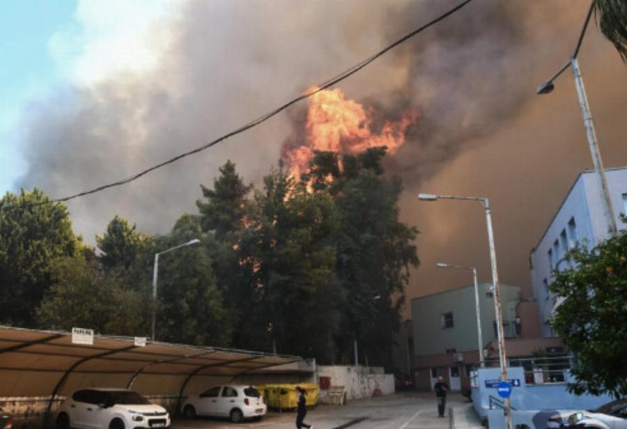 Φωτιά στην Πάτρα: Αστυνομικός σώζει ηλικιωμένο από τις φλόγες – Συγκλονιστικό βίντεο