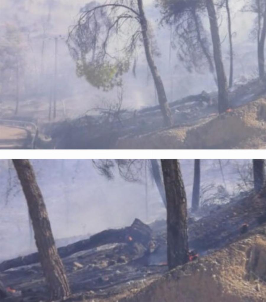 Η φωτιά καταπίνει τον Βαρνάβα – Στάχτη σπίτια και περιουσίες – Στο δρόμο χιλιάδες άνθρωποι