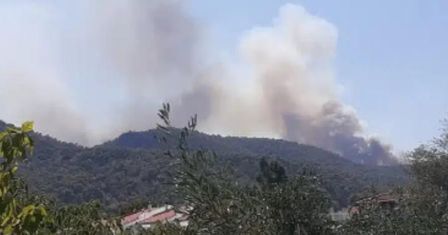 Μεγάλη φωτιά τώρα: 6 χιλιόμετρα το πύρινο μέτωπο – «Αν είχε μπει στο χωρίο, θα μιλούσαμε για τραγωδία»