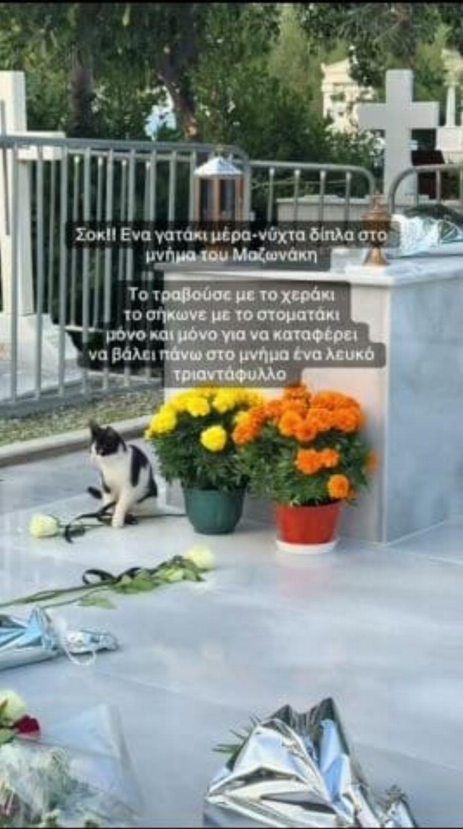 Τι έκανε στον μικρό Μάιλο η Βάσω Μαζωνάκη μόλις τον είδε στο μνήμα: Η κίνηση που προκάλεσε έκπληξη στους επισκέπτες