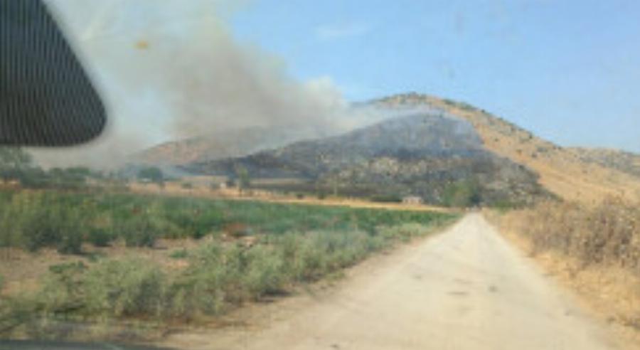 Πού έχει φωτιά τώρα – Στις φλόγες η μισή Ελλάδα