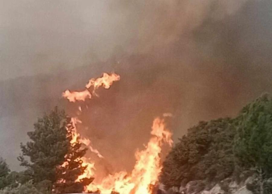 ΕΚΤΑΚΤΗ ΕΠΙΚΑΙΡΟΤΗΤΑ: Φωτιά τώρα