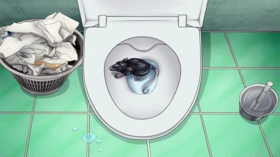 5 πλάσματα που μπορεί να σέρνονται στην τουαλέτα σας και πώς να τα σταματήσετε