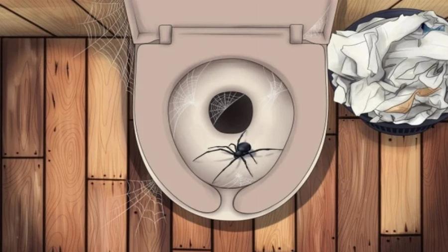 5 πλάσματα που μπορεί να σέρνονται στην τουαλέτα σας και πώς να τα σταματήσετε
