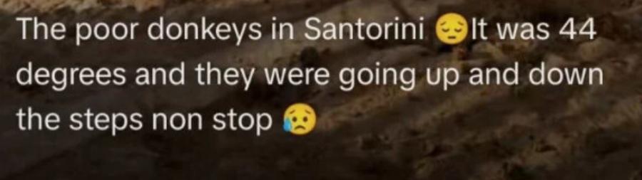 Εικόνες ντροπής στη Σαντορίνη: Γαϊδουράκια σε ρόλο «ταξιτζή» την ημέρα και «απορριμματοφόρου» την νύχτα