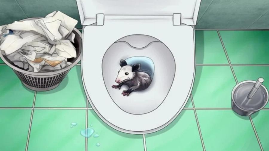 5 πλάσματα που μπορεί να σέρνονται στην τουαλέτα σας και πώς να τα σταματήσετε