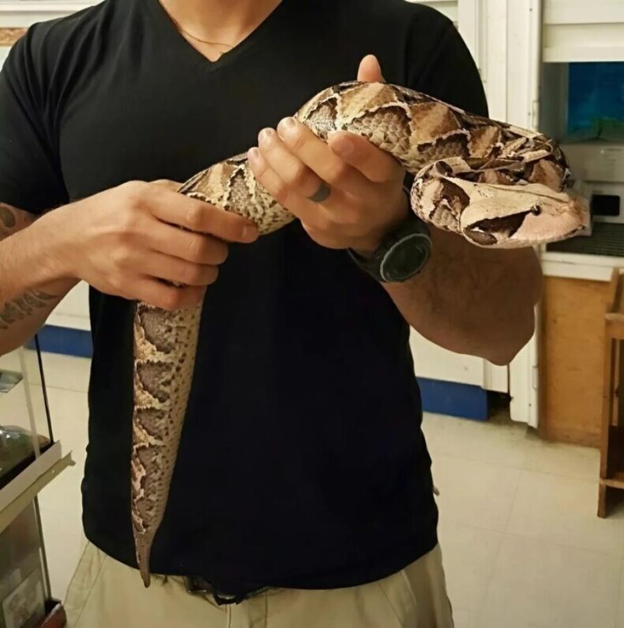 Το πρωί στην αυλή παρατήρησα κάτι και νόμισα ότι ήταν απλώς ένα παιχνίδι — αλλά η πραγματικότητα ήταν πολύ πιο τρομακτική