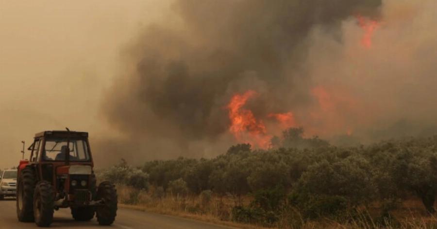 Εφιάλτης δίχως τέλος: Ξέσπασε πριν λίγο ξανά μεγάλη και επικίνδυνη φωτιά – Καίγεται το δάσος μεγάλης πόλης της Ελλάδας