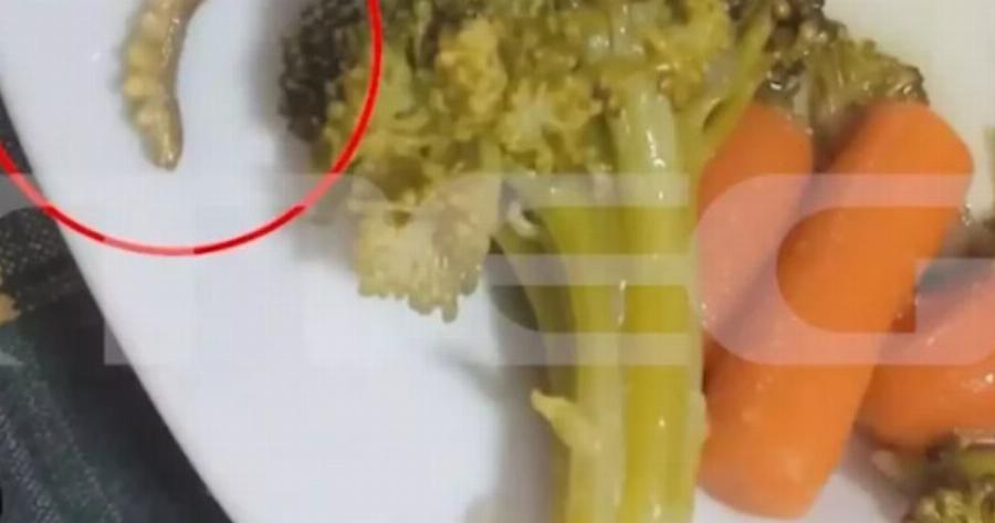 Σοκαριστικές φωτογραφίες: Σκουλήκια, τρίχες και πούπουλα στα γεύματα που μοιράζονταν στους μαθητές στη Λαμία