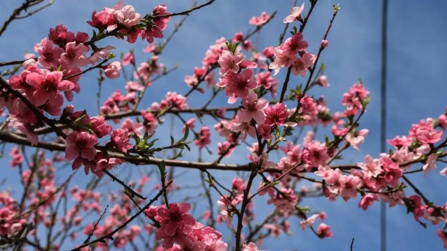 Εαρινή ισημερία: Μπαίνει η άνοιξη κι αuτά είναι τα 4 τuxεpά ζώδια – Επαγγελματικές επιτυχίες, αναγνώριση