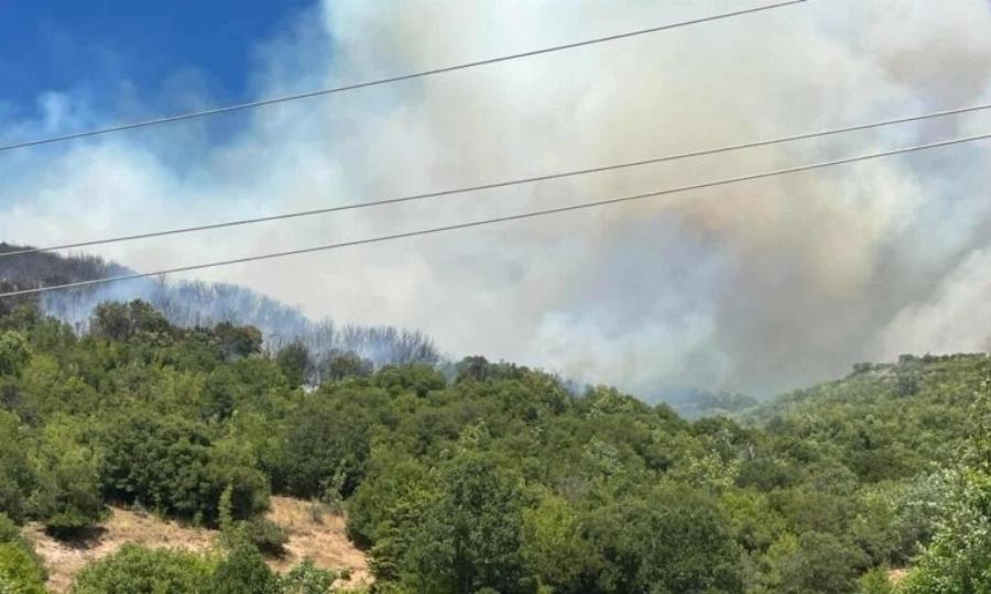 Μεγάλη φωτιά ΤΩΡΑ: Ξέφuγε η κατάσταση – Eκκεvώθnκε παιδική κατασκήνωση