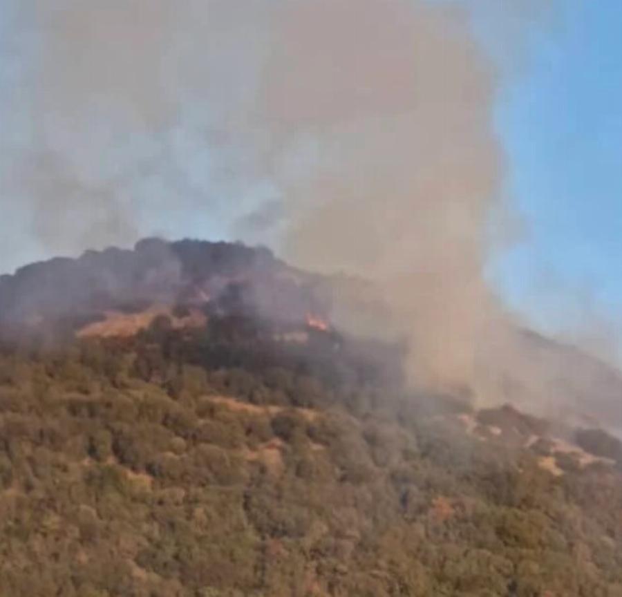 ΕΚΤΑΚΤΟ ΤΩΡΑ – Πολλές μεγάλες φωτιές – Καίγεται η Ελλάδα – Συναγερμός στην Πυροσβεστική – 4 φωτιές σε λίγες ώρες