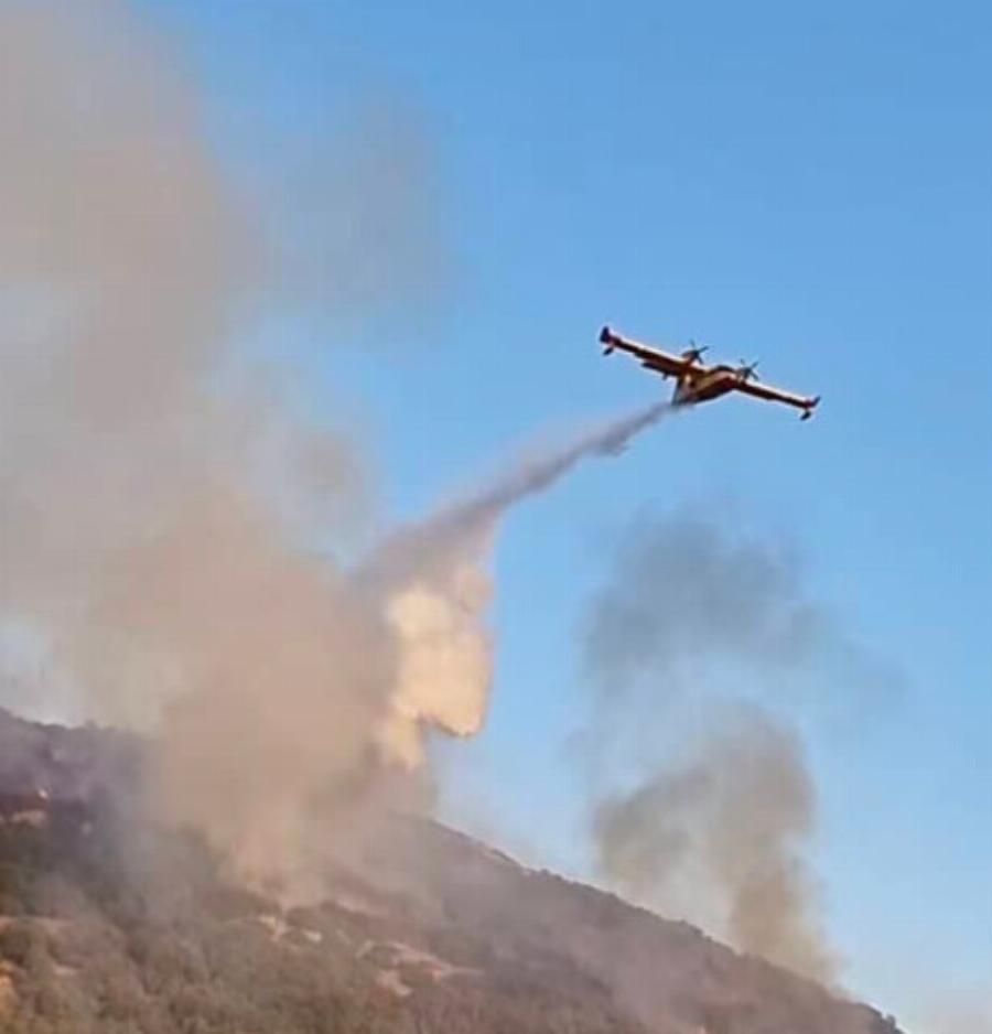 ΕΚΤΑΚΤΟ ΤΩΡΑ – Πολλές μεγάλες φωτιές – Καίγεται η Ελλάδα – Συναγερμός στην Πυροσβεστική – 4 φωτιές σε λίγες ώρες