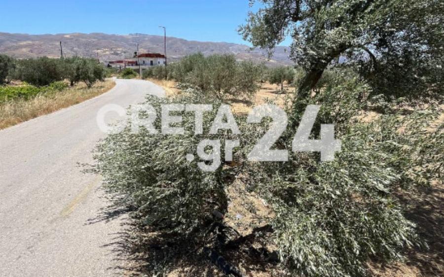 Θρήνος για τον 20χρονο Μιχάλη που σκοτώθηκε σε τροχαίο ενώ επέστρεφε από πανηγύρι