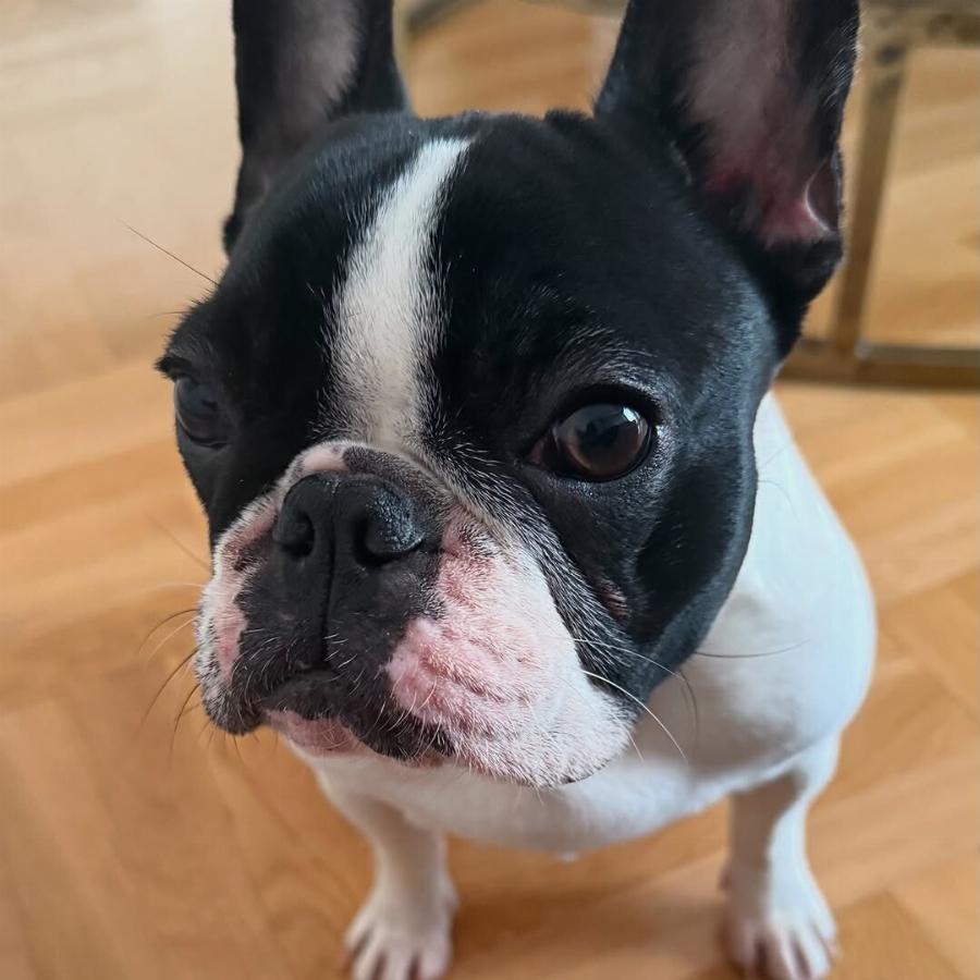 «Θα σας πω ένα μυστικό»: Το είχαν καταλάβει όλοι κι επιτέλους το επιβεβαίωσε – Τρισευτυχισμένη η Καινούργιου στην αγκαλιά του Πάνου