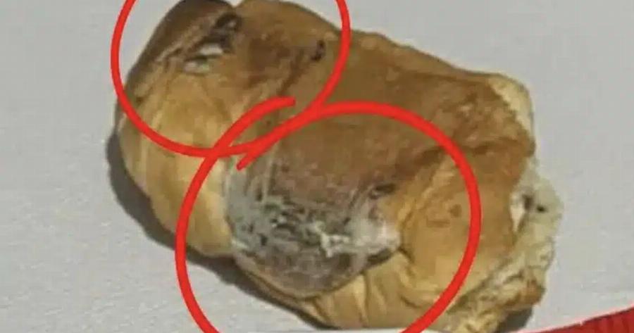 Περιττώματα τρωκτικών σε κρουασάν πασίγνωστης αλυσίδας σουπερμάρκετ στην Ελλάδα – Φωτογραφίες που σοκάρουν