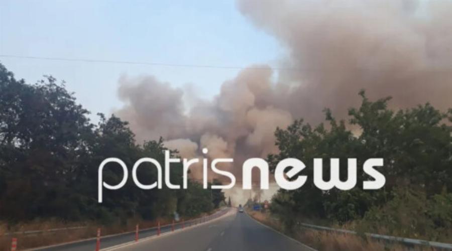 Φωτιά στην Ηλεία – Νεκρός 55χρονος