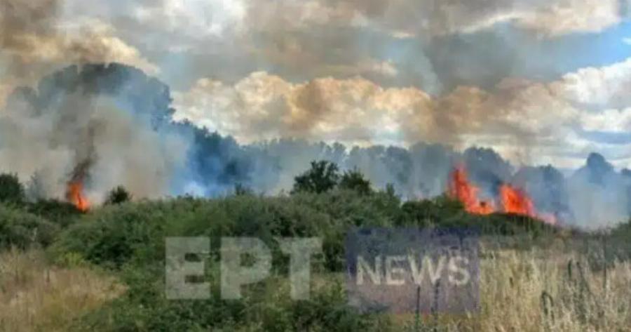 Φωτιά τώρα: Πυρκαγιά σε φωτοβολταϊκό πάρκο σε δάσος