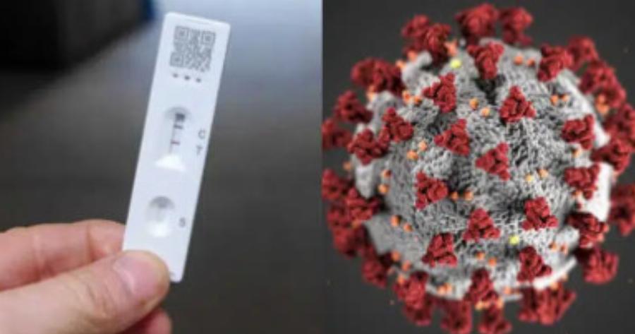 Κορονοϊός: Ποια είναι η νέα παραλλαγή «FLiRT», τι συμπτώματα έχει και γιατί ανησυχεί τους ειδικούς