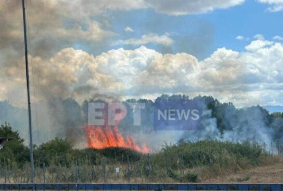 Φωτιά τώρα: Πυρκαγιά σε φωτοβολταϊκό πάρκο σε δάσος