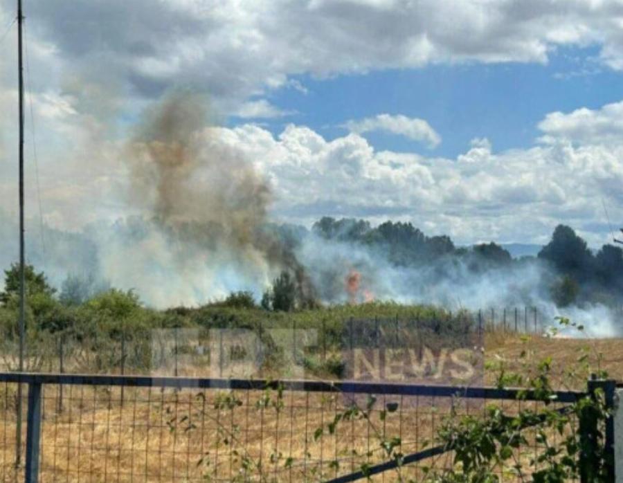 Φωτιά τώρα: Πυρκαγιά σε φωτοβολταϊκό πάρκο σε δάσος