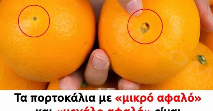 Η διαφορά των πορτοκαλιών με «μεγάλο αφαλό» και «μικρό αφαλό»