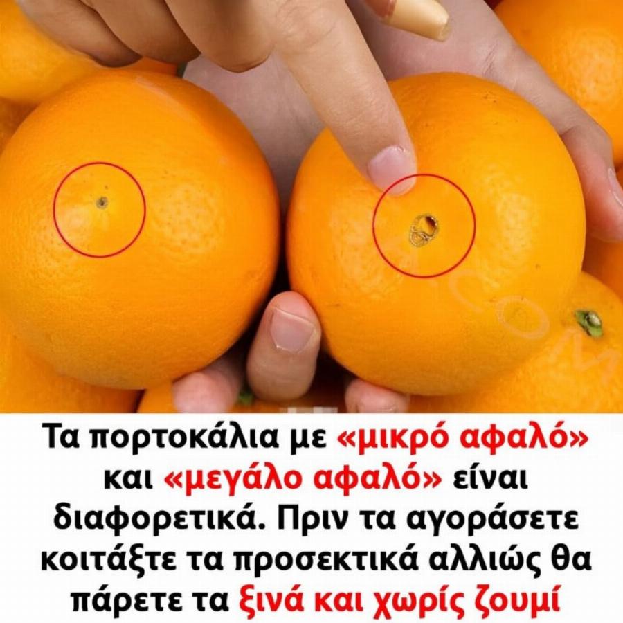 Η διαφορά των πορτοκαλιών με «μεγάλο αφαλό» και «μικρό αφαλό»