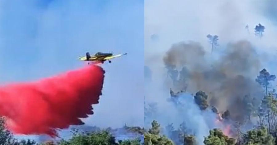 Κόλαση φωτιάς: Γιγαντιαία επιχείρηση με 155 πυροσβέστες και 22 εναέρια μέσα – Απομακρύνονται οι κάτοικοι από τα σπίτια