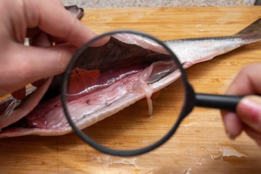 ΣΥΝΑΓΕΡΜΟΣ