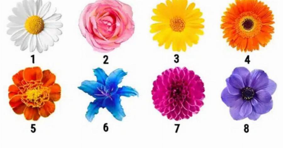 Διαλέξτε λουλούδι και αυτό θα αποκαλύψει το πιο σημαντικό χαρακτηριστικό του χαρακτήρα σας