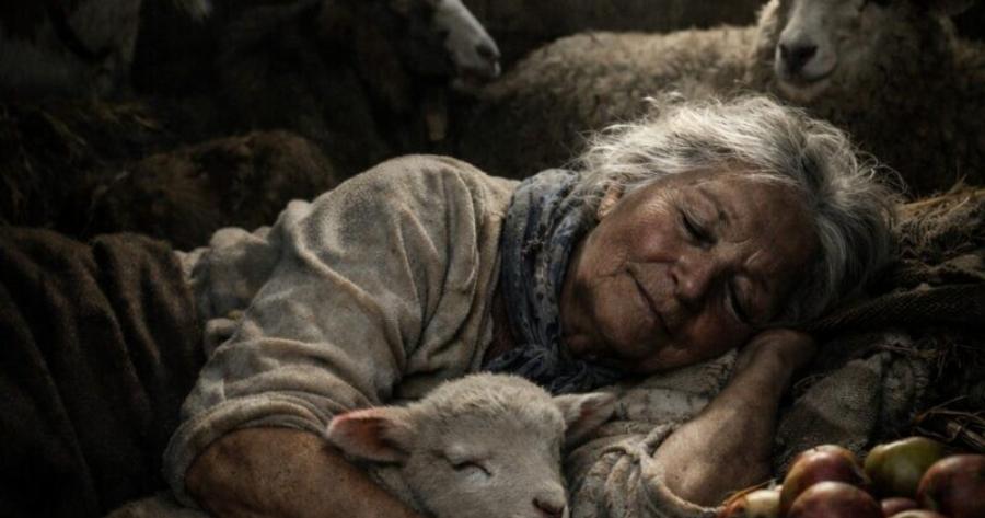 Η νύφη μου με έδιωξε από το σπίτι μου και με ανάγκασε να ζήσω σε έναν εγκαταλελειμμένο στάβλο — δεν είχε ιδέα τι επρόκειτο να συμβεί