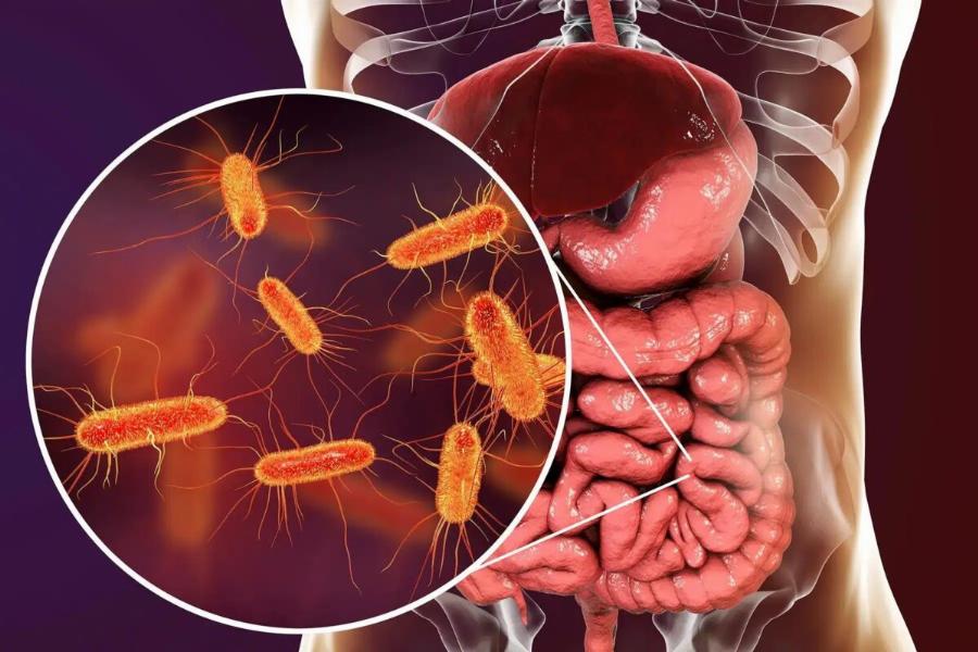 Λουκέτο σε 2 κρεοπωλεία μετά τον θάνατο 12χρονης