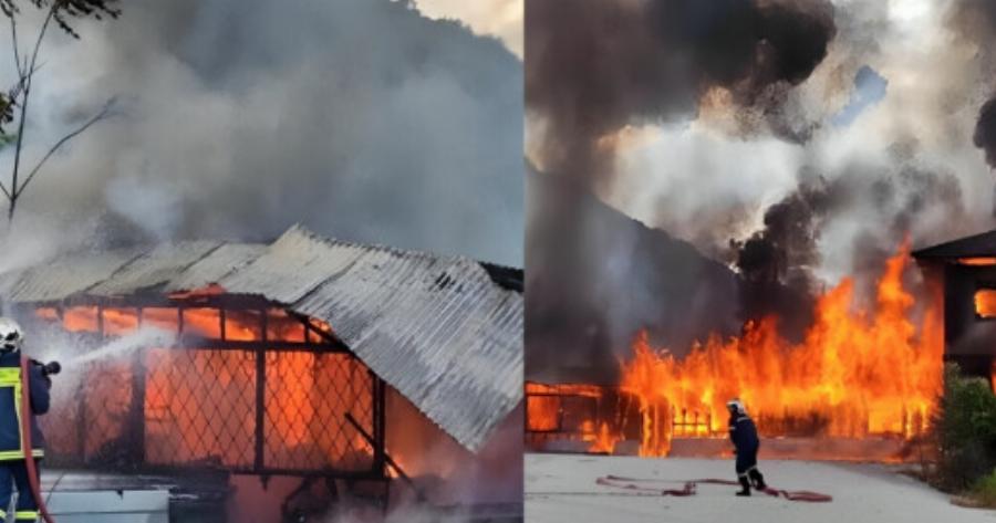 ΕΚΤΑΚΤΟ – Μεγάλη φωτιά ΤΩΡΑ – Συναγερμός στην Πυροσβεστική – Ήχησε το 112