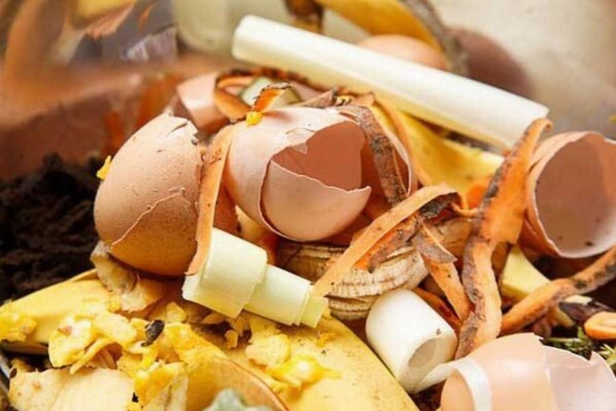 Πολλοί πετάνε τα τσόφλια από τα αβγά, αλλά δεν γνωρίζουν πόσο σημαντικά είναι