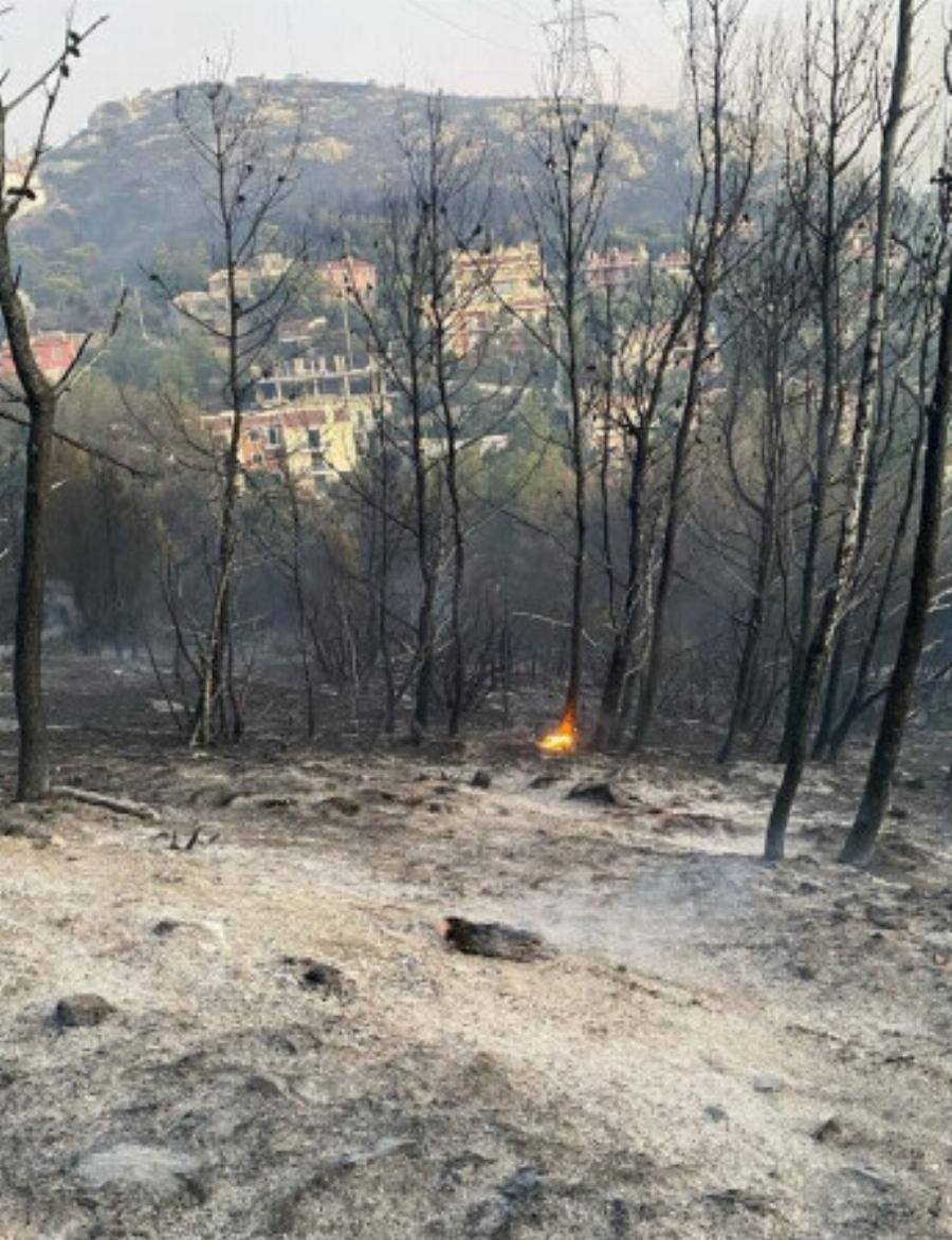 Φωτιά στην Αττική: Συγκλονίζουν οι φωτογραφίες της Αθηναΐδος Νέγκα μέσα από τις στάχτες